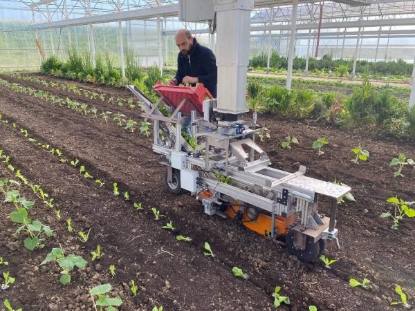 Maraîcher plantant de la salade à l'aide du robot NeoFarm